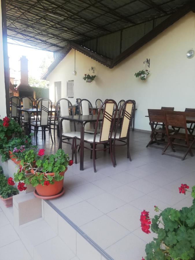 Villa Pescarus Костинещи Екстериор снимка
