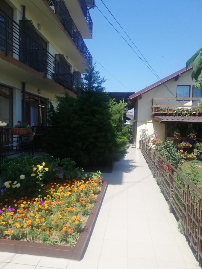Villa Pescarus Костинещи Екстериор снимка